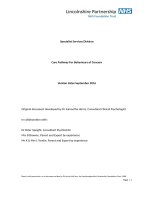 behaviours-of-concern-care-pathway-v3-4