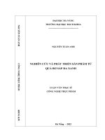 Nghiên cứu và phát triển sản phẩm từ quả bơ sáp da xanh 