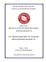 TIỂU LUẬN môn QUẢN lý rủi RO TRONG HOẠT ĐỘNG KINH DOANH QUỐC tế các TRƯỜNG hợp THỰC tế về rủi RO TRONG KINH DOANH QUỐC tế 
