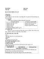 Bài 10 hoạt động của cơ môn sinh học lớp 8 đầy đủ chi tiết nhất 