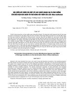 Đặc điểm nảy mầm của một số loài chuối hoang dại và ảnh hưởng của điều kiện bảo quản tới khả năng nảy mầm của loài Musa balbisiana