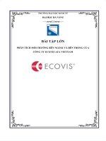 Phân tích môi trường bên ngoài và bên trong của công ty ecovis afa vietnam 