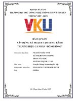 BÀI TẬP LỚN XÂY DỰNG KẾ HOẠCH TẠO DỰNG KÊNH THƯƠNG HIỆU CÁ NHÂN BỒNG BÔNG