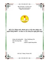 Phân tích, đánh giá cơ cấu thu nhập của ngân hàng BIDV và đưa ra các khuyến nghị phù hợp