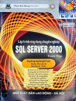 Lập trình ứng dụng chuyên nghiệp sql server 2000 