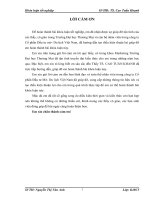 (Luận văn đại học thương mại) phát triển kế hoạch truyền thông marketing tour du lịch sinh thái của công ty cổ phần đầu tư mở  du lịch việt nam 