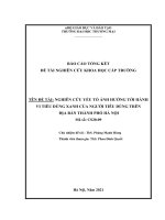 (Luận văn Đại học Thương mại) BÁO CÁO TỔNG KẾT ĐỀ TÀI NGHIÊN CỨU KHOA HỌC CẤP TRƯỜNG TÊN ĐỀ TÀI NGHIÊN CỨU YẾU TỐ ẢNH HƯỞNG TỚI HÀNH VI TIÊU DÙNG XANH CỦA NGƯỜI TIÊU DÙNG