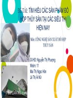 ĐỀ tài tìm HIỂU các sản PHẨM đồ hộp THỦY sản tại các SIÊU THỊ HIỆN NAY 