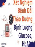 Xét nghiệm bệnh đái tháo đường định lượng glucose, hba1c 