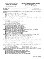 Đề thi thử THPT môn lịch sử trường THPT hương sơn năm 2022 