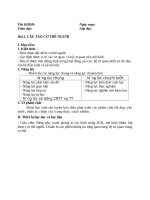 Bài 2 cấu tạo cơ thể người môn sinh học lớp 8 đầy đủ chi tiết nhất 