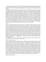 Pediatric emergency medicine trisk 2317 2317 