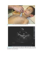 Pediatric emergency medicine trisk 1124 