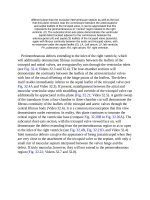 Andersons pediatric cardiology 845 