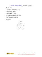 LÝ THUYẾT TIẾNG VIỆT 1 CHÍNH TẢ CÂU ĐỐ