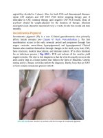 Pediatric emergency medicine trisk 1332 1332 