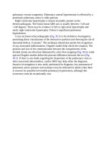 Andersons pediatric cardiology 787 