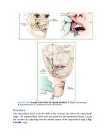 Pediatric emergency medicine trisk 1114 
