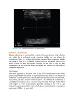Pediatric emergency medicine trisk 4506 4506 