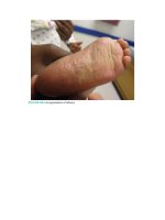 Pediatric emergency medicine trisk 1330 1330 