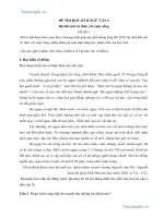 Đề 1 đề thi học kì 2 lớp 6 kết nối tri thức với cuộc sống 