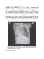 Pediatric emergency medicine trisk 4099 4099 