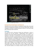 Pediatric emergency medicine trisk 4526 4526 