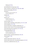 Andersons pediatric cardiology 2389 