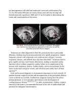 Andersons pediatric cardiology 1377 