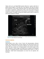 Pediatric emergency medicine trisk 4508 4508 