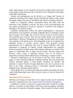 Pediatric emergency medicine trisk 1018 1018 