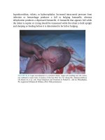 Pediatric emergency medicine trisk 2491 2491 