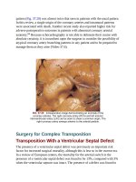 Andersons pediatric cardiology 989 