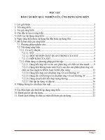 SKKN phương pháp giải bài toán sắt và hợp chất của sắt 