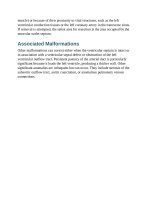 Andersons pediatric cardiology 981 