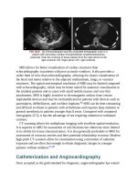 Andersons pediatric cardiology 1373 