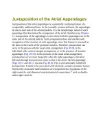 Andersons pediatric cardiology 1309 