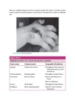 Pediatric emergency medicine trisk 2002 2002 