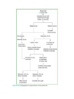 Pediatric emergency medicine trisk 502 