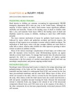 Pediatric emergency medicine trisk 0817 0817 