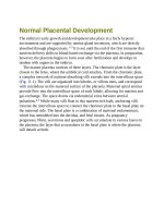 Andersons pediatric cardiology 262 