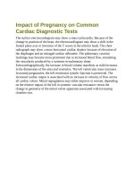 Andersons pediatric cardiology 2126 