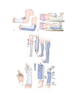 Pediatric emergency medicine trisk 1116 