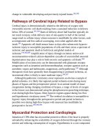 Andersons pediatric cardiology 372 