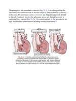 Andersons pediatric cardiology 990 