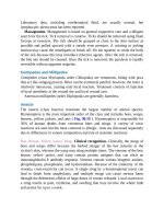 Pediatric emergency medicine trisk 2008 2008 