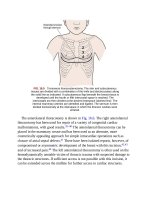 Andersons pediatric cardiology 362 