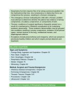 Pediatric emergency medicine trisk 4063 4063 