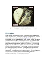 Andersons pediatric cardiology 1370 