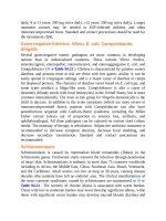 Pediatric emergency medicine trisk 2323 2323 